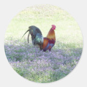 Feathered Pride Sticker (Vorderseite)