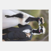 "Feathered Vows: Eine emu-schöne Gewerkschaft der Geschenkpapier Set (Vorderseite 2)
