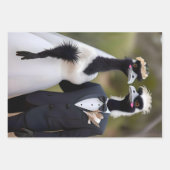 "Feathered Vows: Eine emu-schöne Gewerkschaft der Geschenkpapier Set (Vorderseite)
