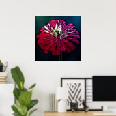 Feathered Zinnia Poster (Heimbüro)