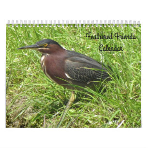 Featherends Friends - Vogelkalender Kalender