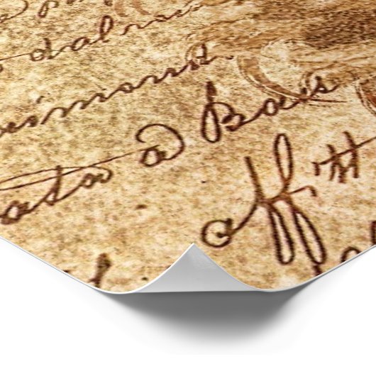 Featherfreunde-Poster Poster (Ecke)