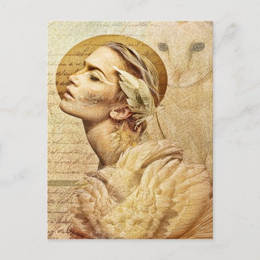 Featherfreunde Postkarte (Vorderseite)