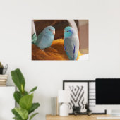 Featherfriends Blue Pacific Parrotlets Bird Art Poster (Heimbüro)