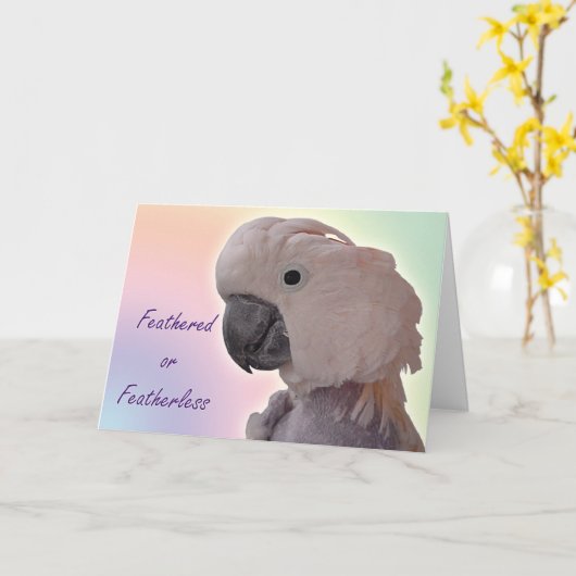 Featherless Karte (Gelbe Blume)