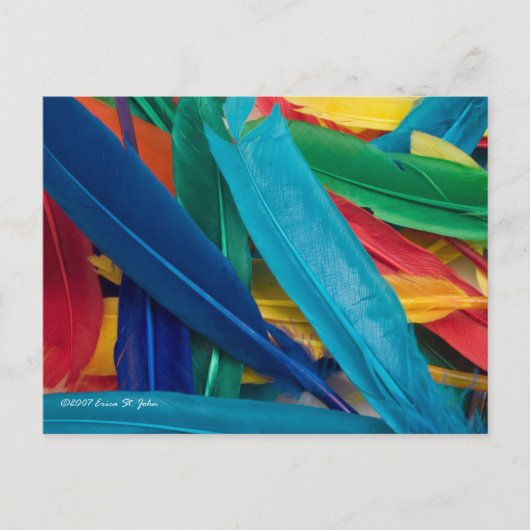 Featherly Postcard Postkarte (Vorderseite)