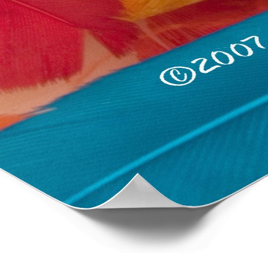 Featherly Poster (Ecke)