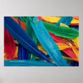 Featherly Poster (Vorne)