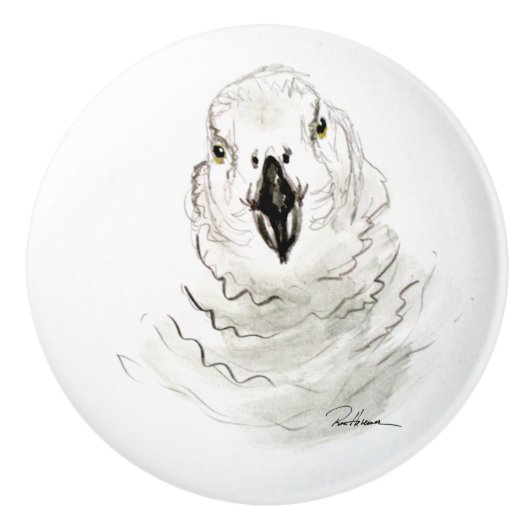 Feathers African Gray Parrot Keramikknauf (Vorderseite)