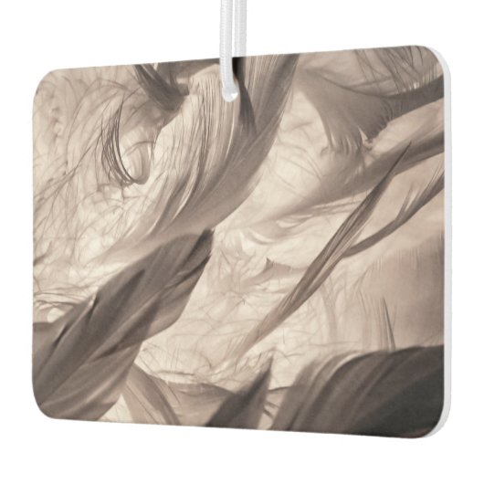 Feathers Autolufterfrischer (Links)