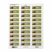Feathers Clydesdale Entwurf Reitadresse Labels (Vorne)
