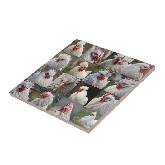 "Feathers in Focus: Ein Portrait eines weißen Hühn Fliese (Seite)