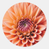 Feathers in Peach Fuzz Farbe, Runder Aufkleber (Vorderseite)