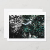 Feathers in the Woods by Jeffrey H. Thornton:  Postkarte (Vorne/Hinten)