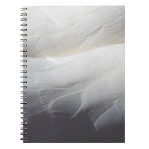 Feathers kreativer Hintergrund Notizblock