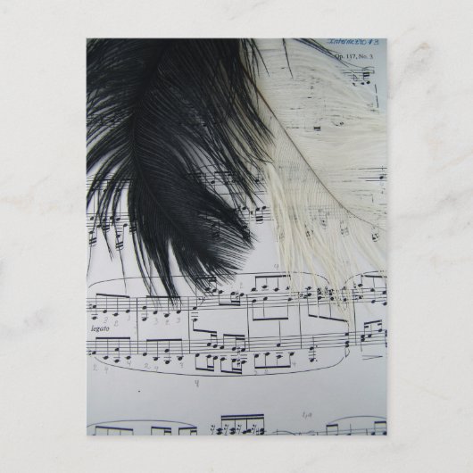 Feathers & Music Postkarte (Vorderseite)