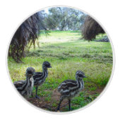 "Feathers of the Future: Three Baby Emu Chicks" Keramikknauf (Vorderseite)