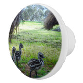 "Feathers of the Future: Three Baby Emu Chicks" Keramikknauf (Rechts)