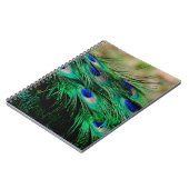 Feathers Peacock Feathers Notizblock (Linke Seite)