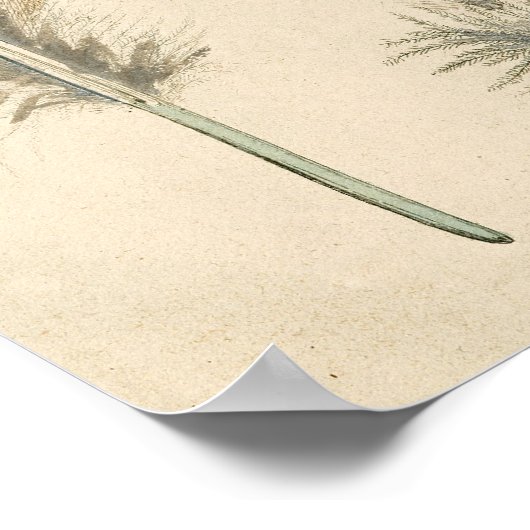 Feathers Poster (Ecke)