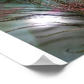 Feathers Poster (Ecke)