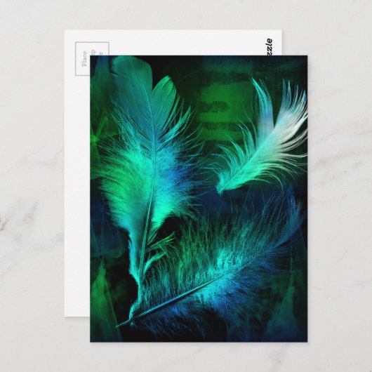 Feathers Postkarte (Vorne/Hinten)