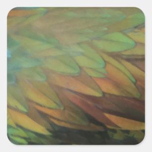 Feathers Quadratischer Aufkleber