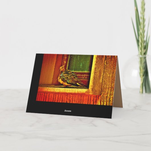 Feathery Dove Karte (Rückseite)