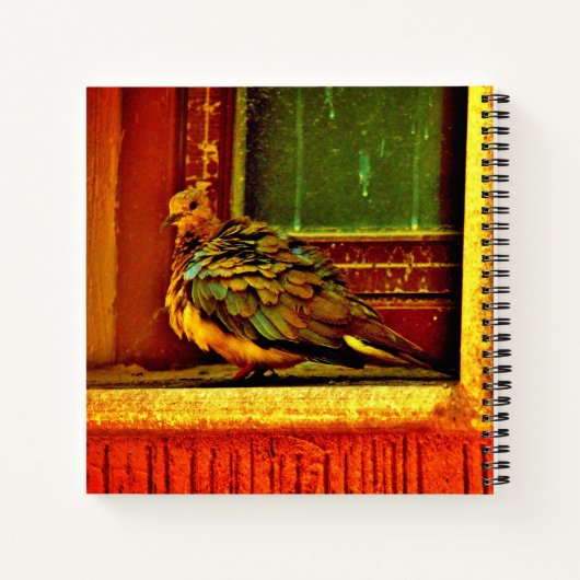 Feathery Dove Notizblock (Rückseite)