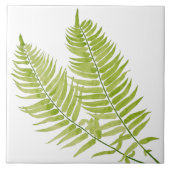Feathery Fern auf einer Keramik Fliese (Vorderseite)