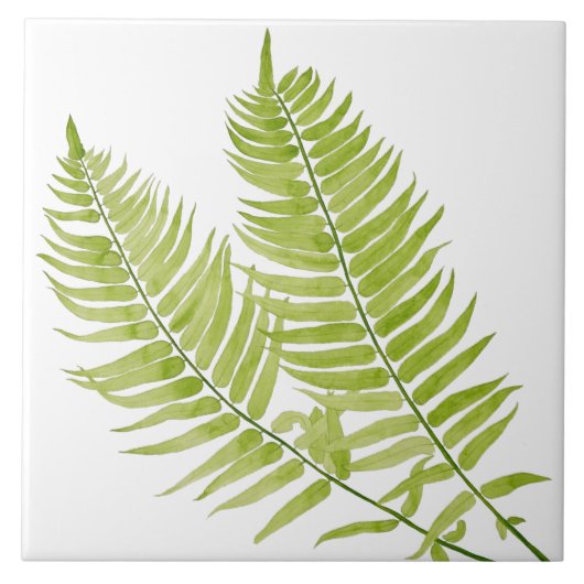 Feathery Fern auf einer Keramik Fliese (Vorderseite)