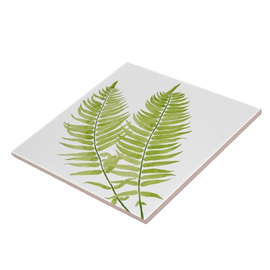 Feathery Fern auf einer Keramik Fliese (Seite)