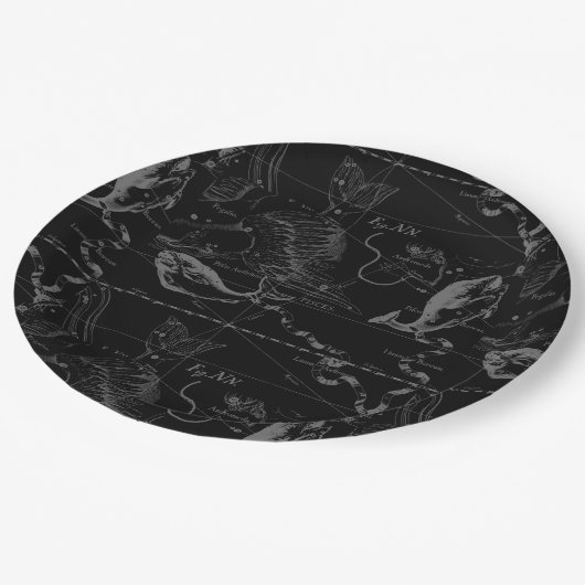 Feb19 - März 20 Pappteller (Schrägansicht)