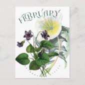 Februar Blume Primrose und Violet Extravagant Postkarte (Vorderseite)