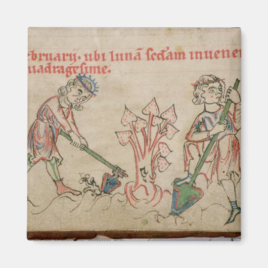 Februar: Feierlichkeiten Magnet (Vorne)