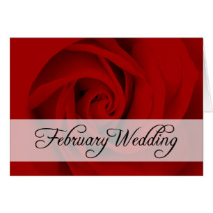 Februar Hochzeit : Rose der Saison: