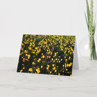 Februar-Krokusse Karte