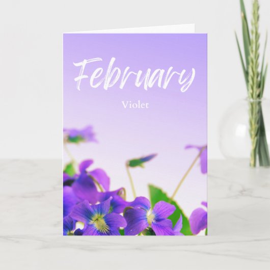 Februar Lila Violet Geburtsmonat Blume Geburtstag Karte (Vorderseite)