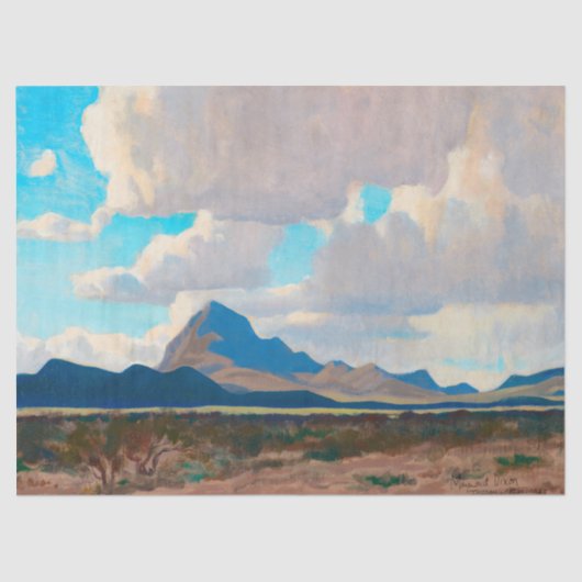 Februar Nachmittag, Tucson Mountains von Dixon Seidenpapier (Vorderseite)