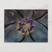 februar postkarte (Vorderseite)