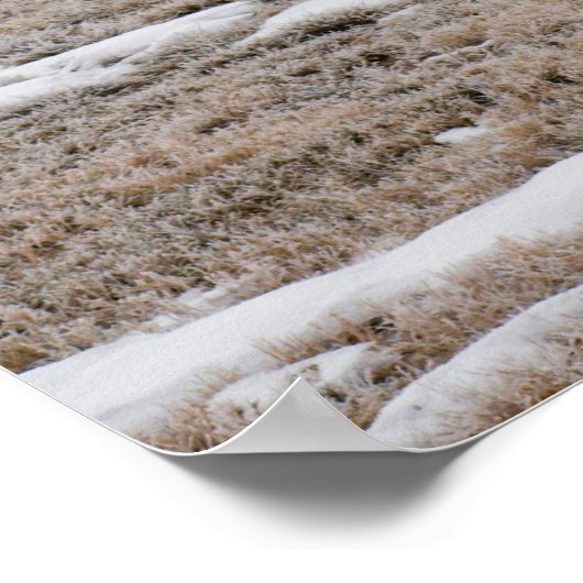 Februar Robin Nature Poster mit Gedicht (Ecke)