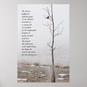 Februar Robin Nature Poster mit Gedicht