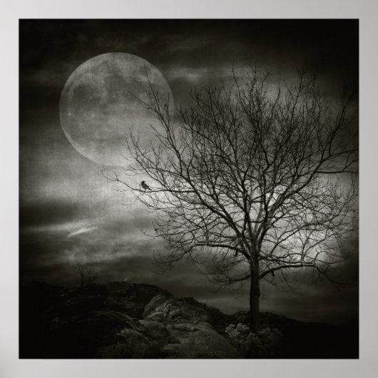 Februar Tree Poster (Vorne)