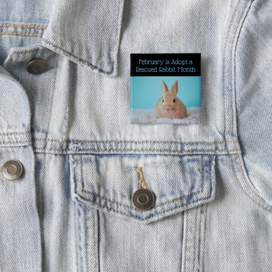 Februar wird Adoptiert, um einen Rettung des Kanin Button (Beispiel)