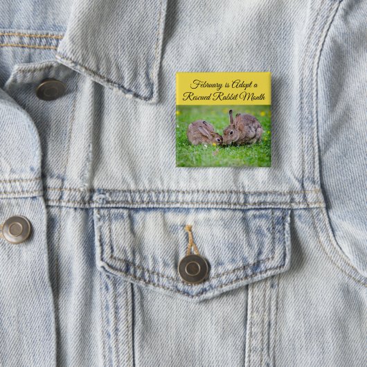 Februar wird Adoptiert, um einen Rettung des Kanin Button (Beispiel)