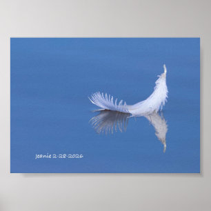 Feder auf dem Wasser Poster