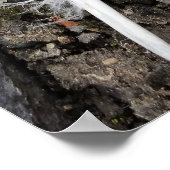 Feder auf Gehweg Poster (Ecke)