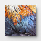Feder Kunst Fotoplatte (Vorderseite)