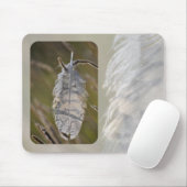 Feder Mousepad (Mit Mouse)