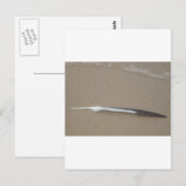 Feder Postkarte (Vorne/Hinten)